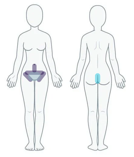 Stomach Strip + Women's Bikini Serv