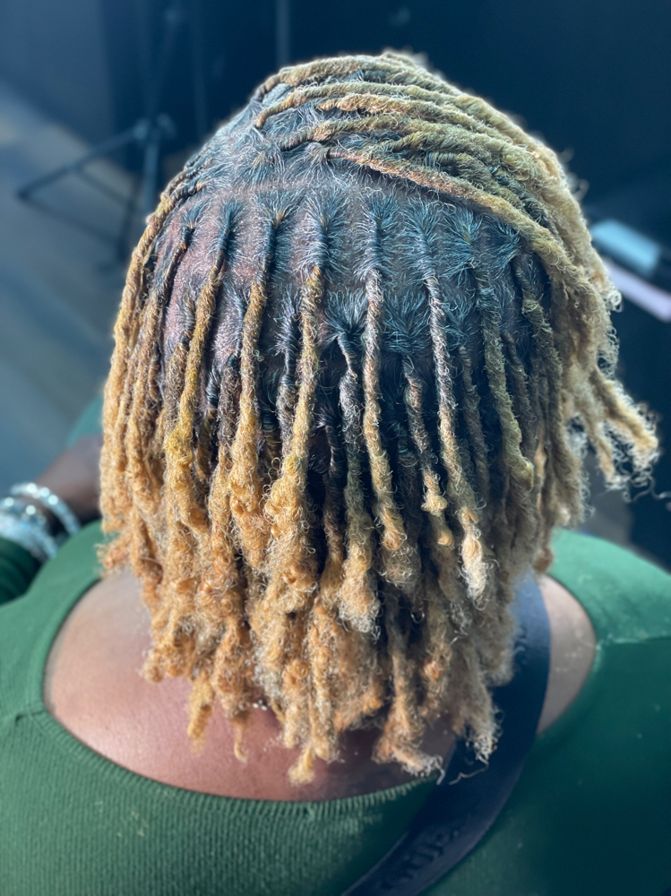 Starter Locs