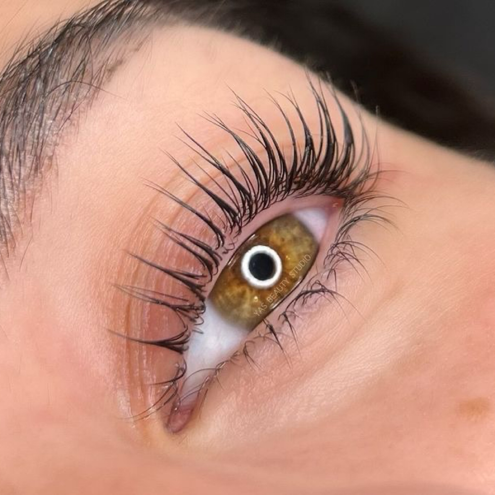 Korean Lash lift at Aesthetics By Arely in Glendale, AZ