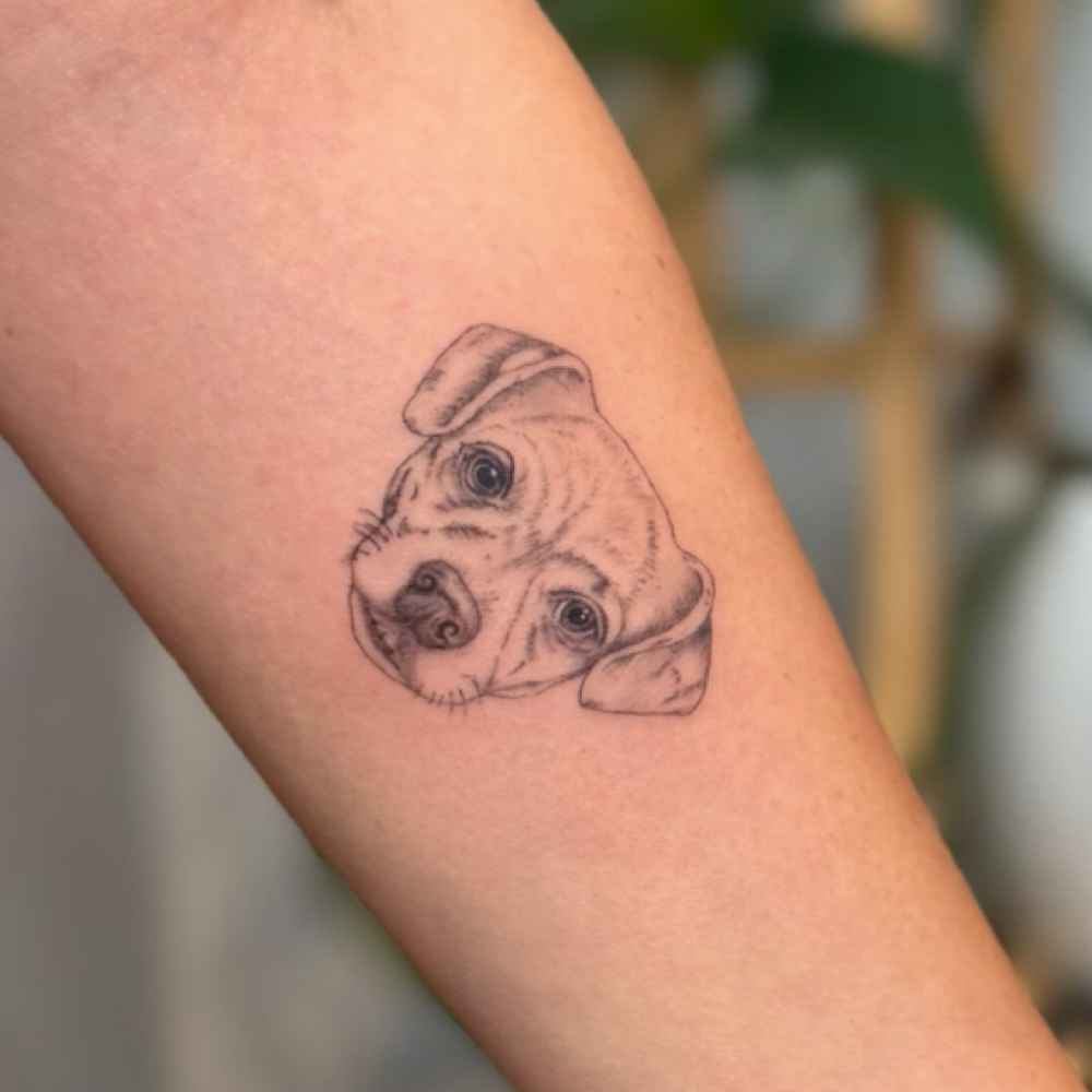 Pet Portrait Tattoo at KB Artistry Studio in Mesa, AZ