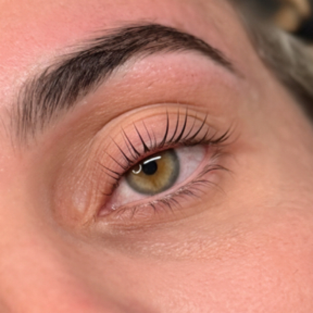 Korean Lash Lift at The Lash Altar in Pinellas park, FL