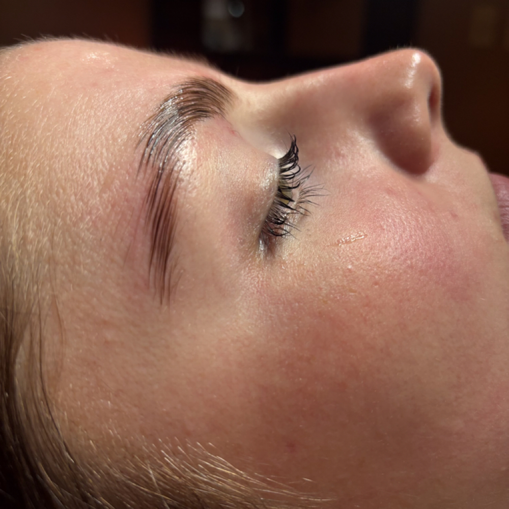 Brow & Lash Lamination at Complexions by Ali at Wild Roots Salon in Cape Girardeau, MO