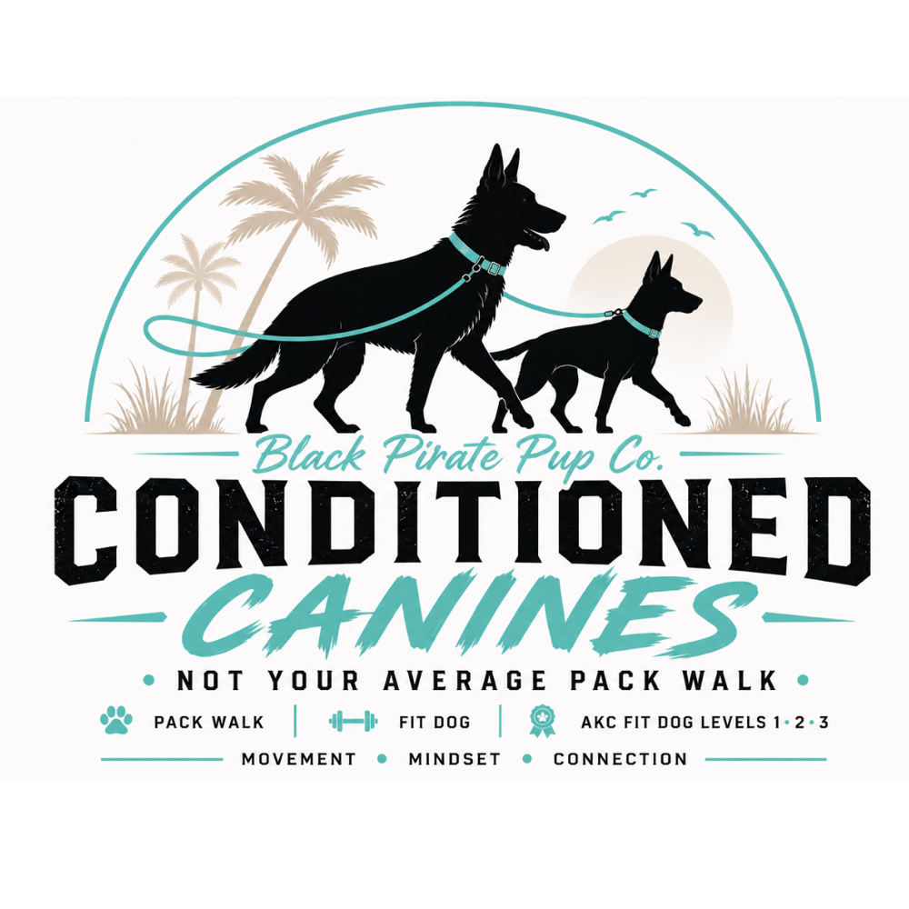 AKC Fit Dog Pack Walk at Black Pirate Pup Co. in Palm Beach Gardens, FL