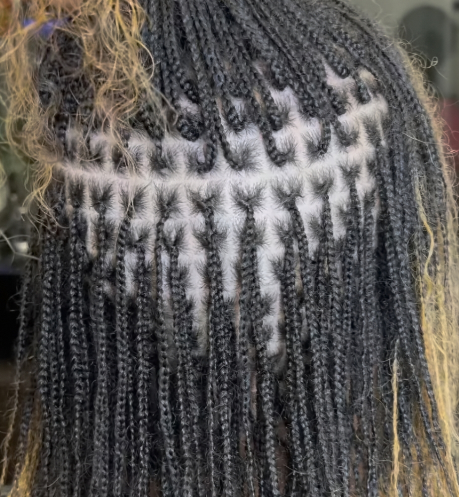 Micro Braids/Twists