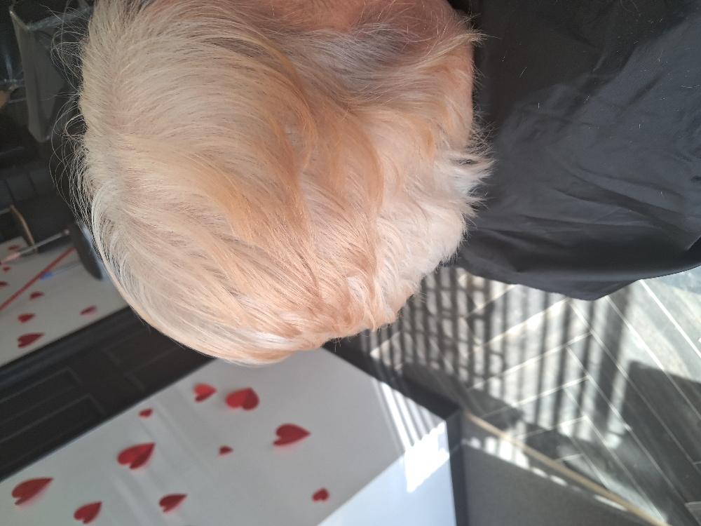 Blow Dry Style