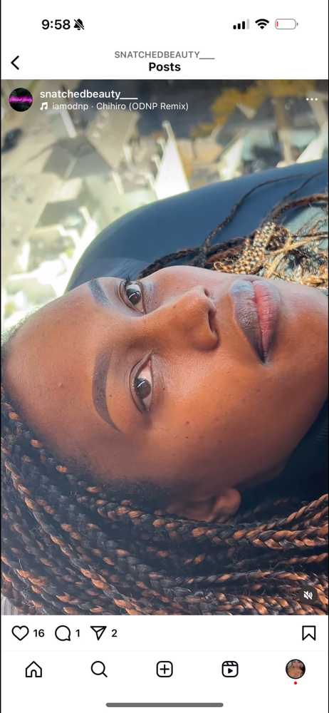 Ombre Brows 1 Year Touch Up