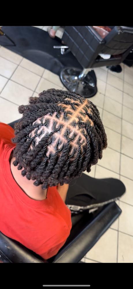 Small Locs  (Short)