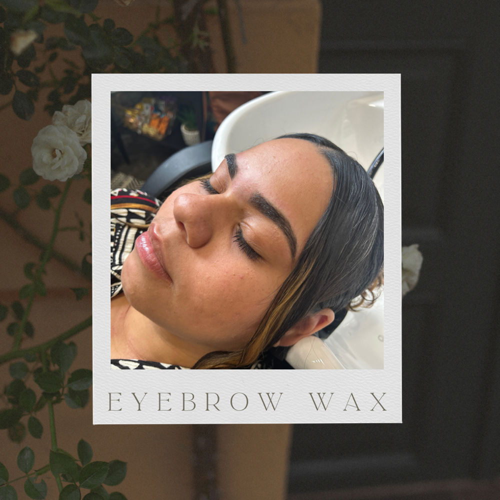 Eyebrow Wax & Shape