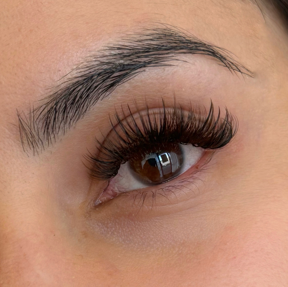 The Vanessa Fill