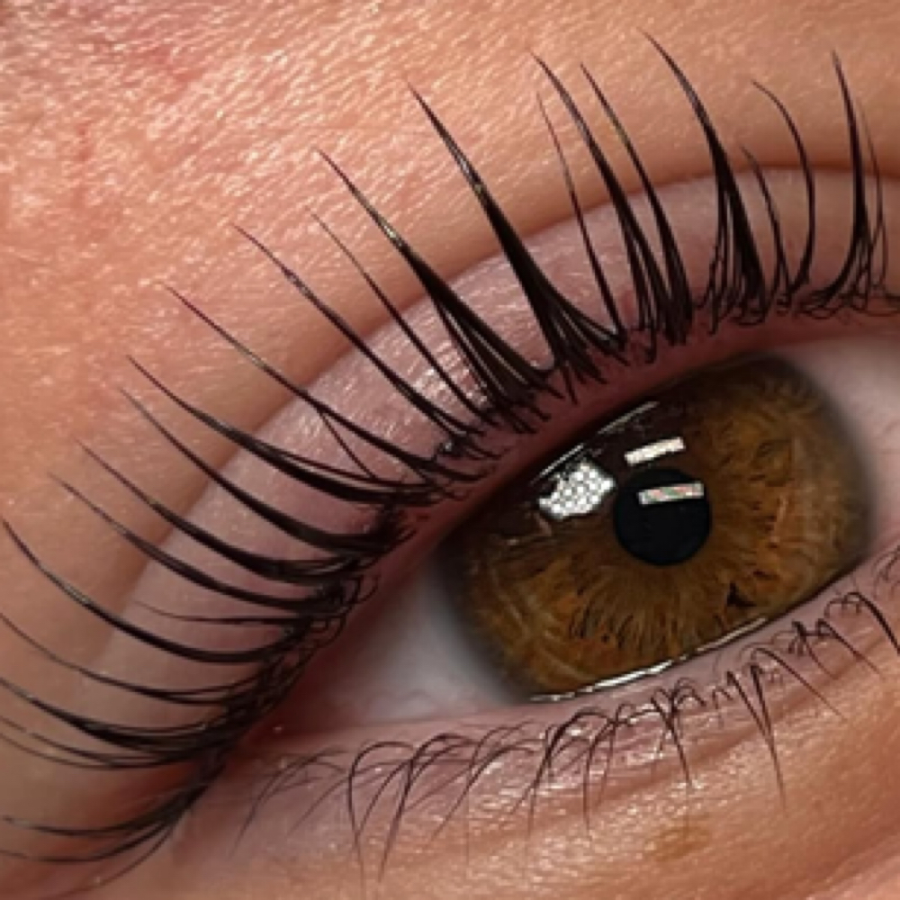 Korean Lash Lift at Love Lash By Thalia in Tampa, FL