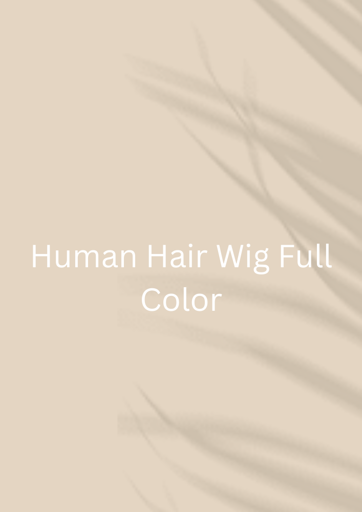 Human Hair Wig Full Color