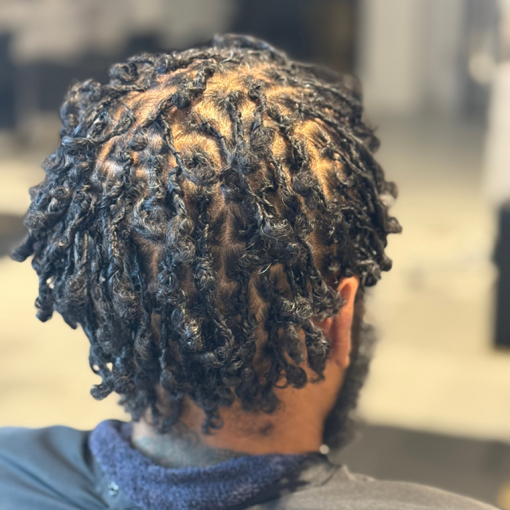 Starter Locs