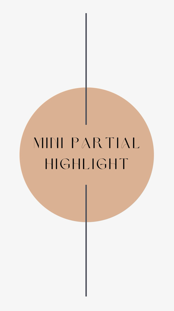 Mini Partial Highlight