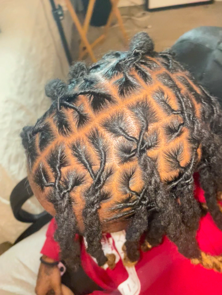 Locs Retwist