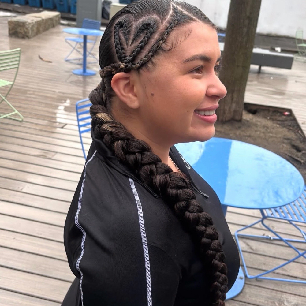 Freestyle Braided Pony