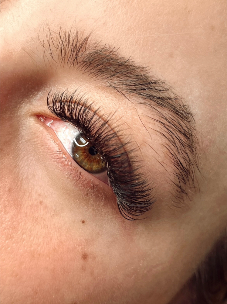 Hybrid Lash Fill