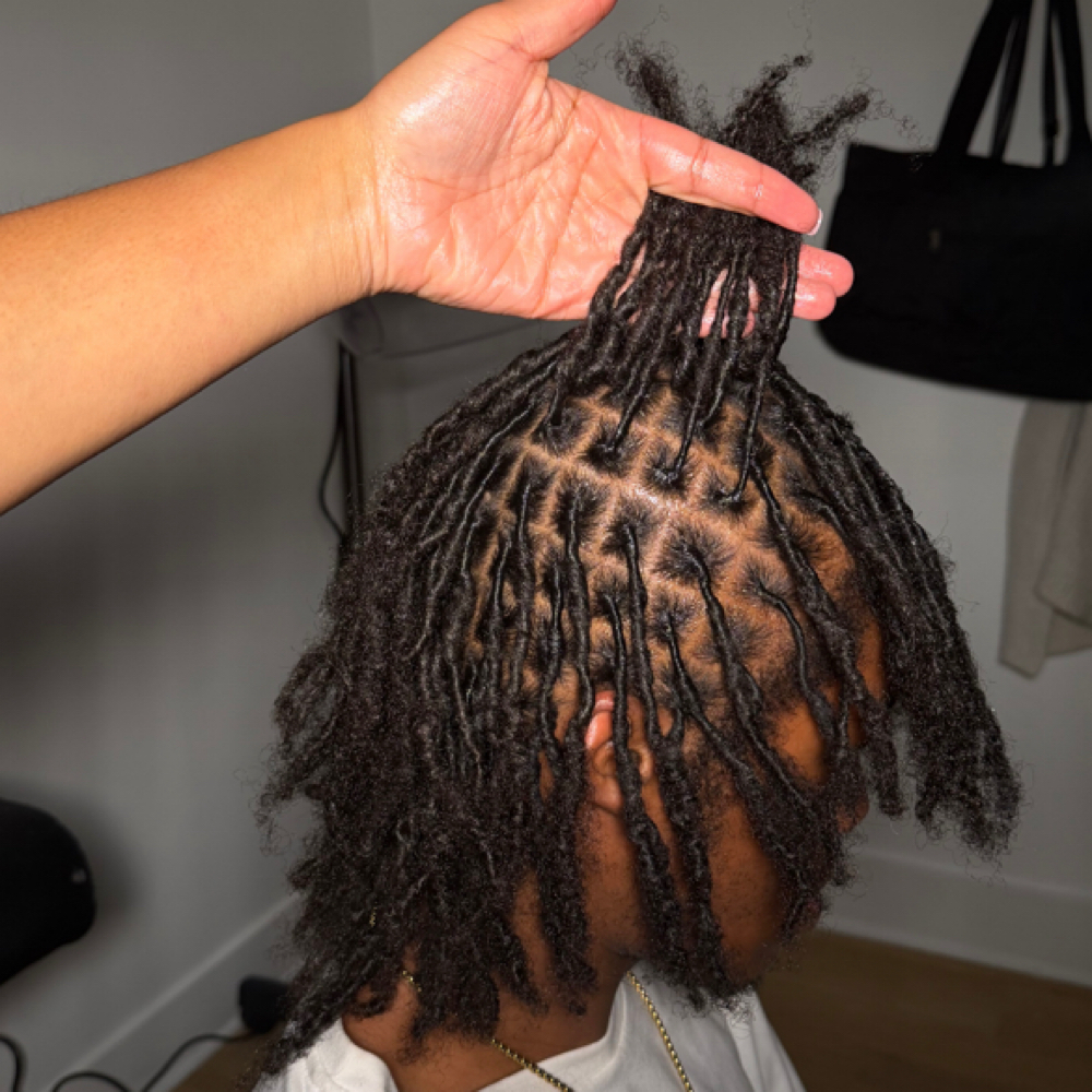 Starter Loc Retwist at Intrinsting Styles in Addison, TX