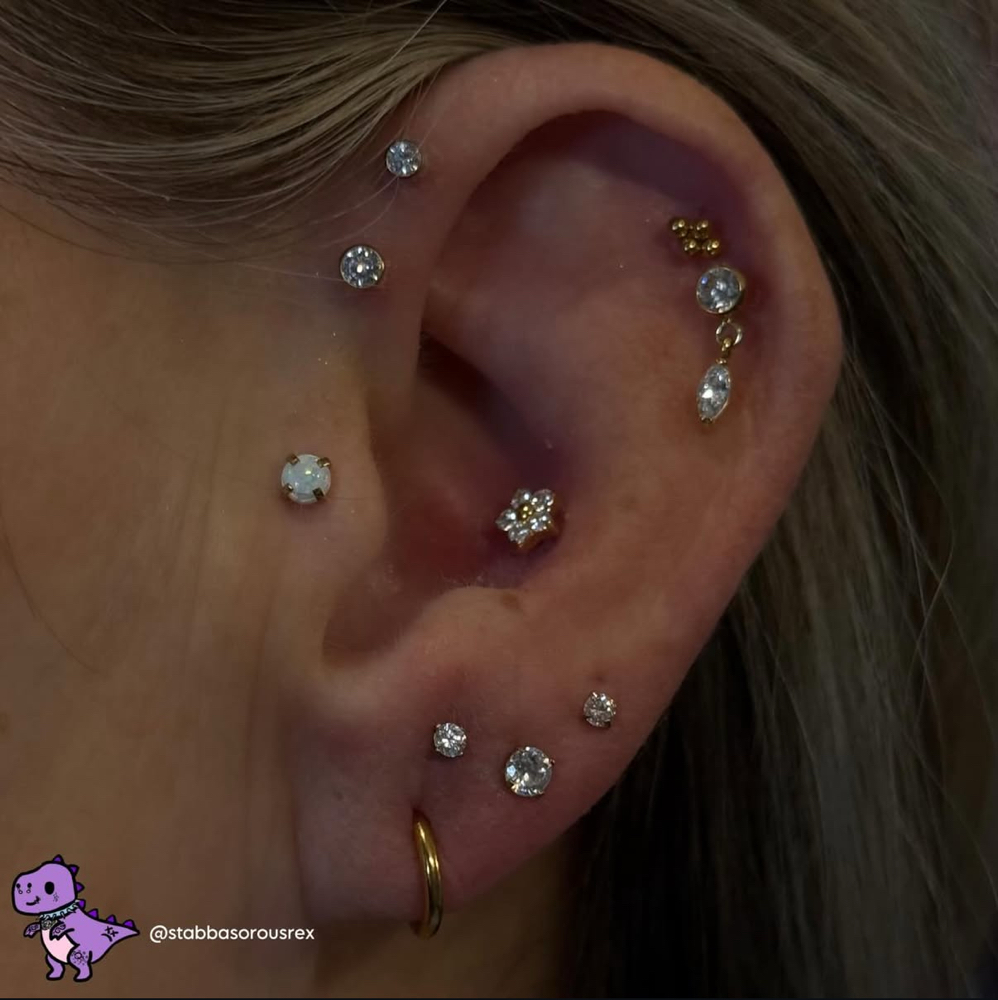Double Forward Helix