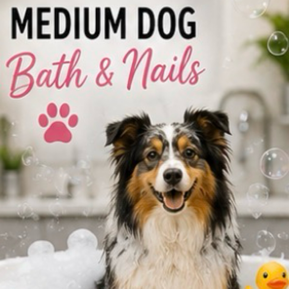 Medium Dog Bath & Nails at Pampered Pups By Helen in Chino Hills, CA