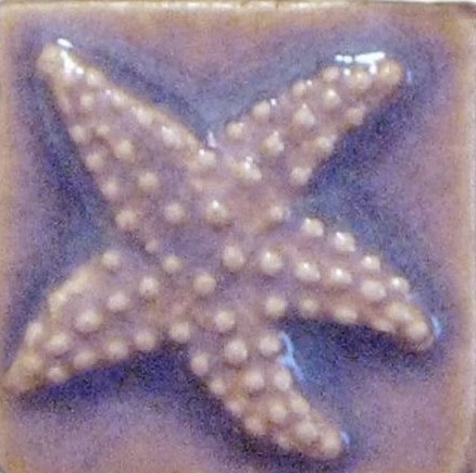 Spa Pedicure- Gel