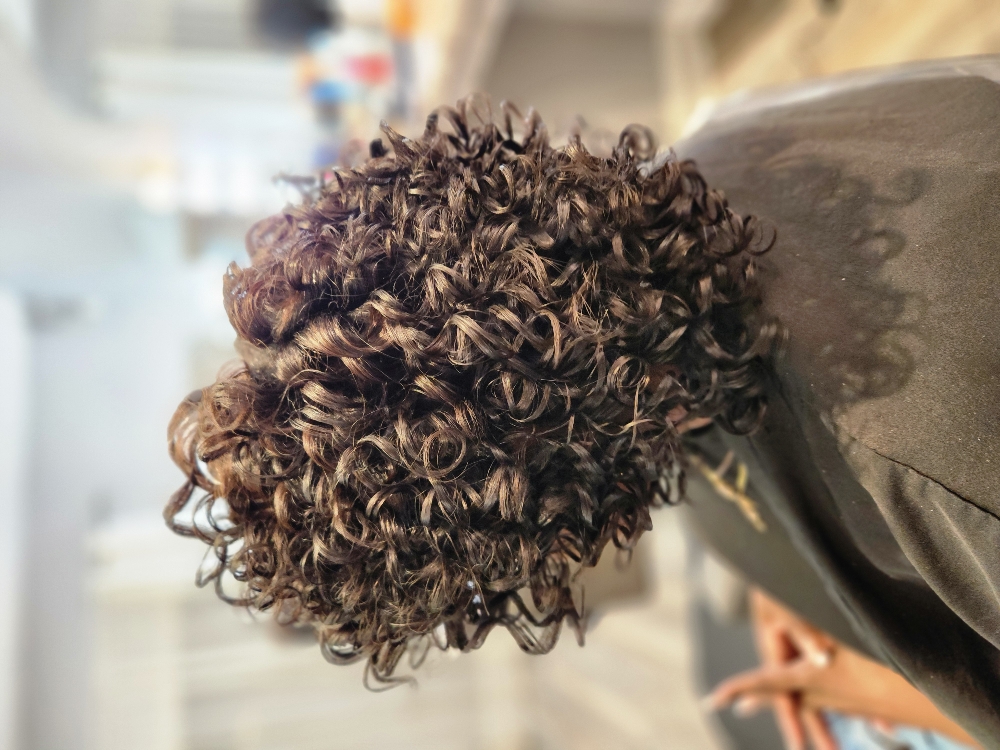 Flexi Rod Set at Eleven11 Salon Studio in Baton Rouge, LA