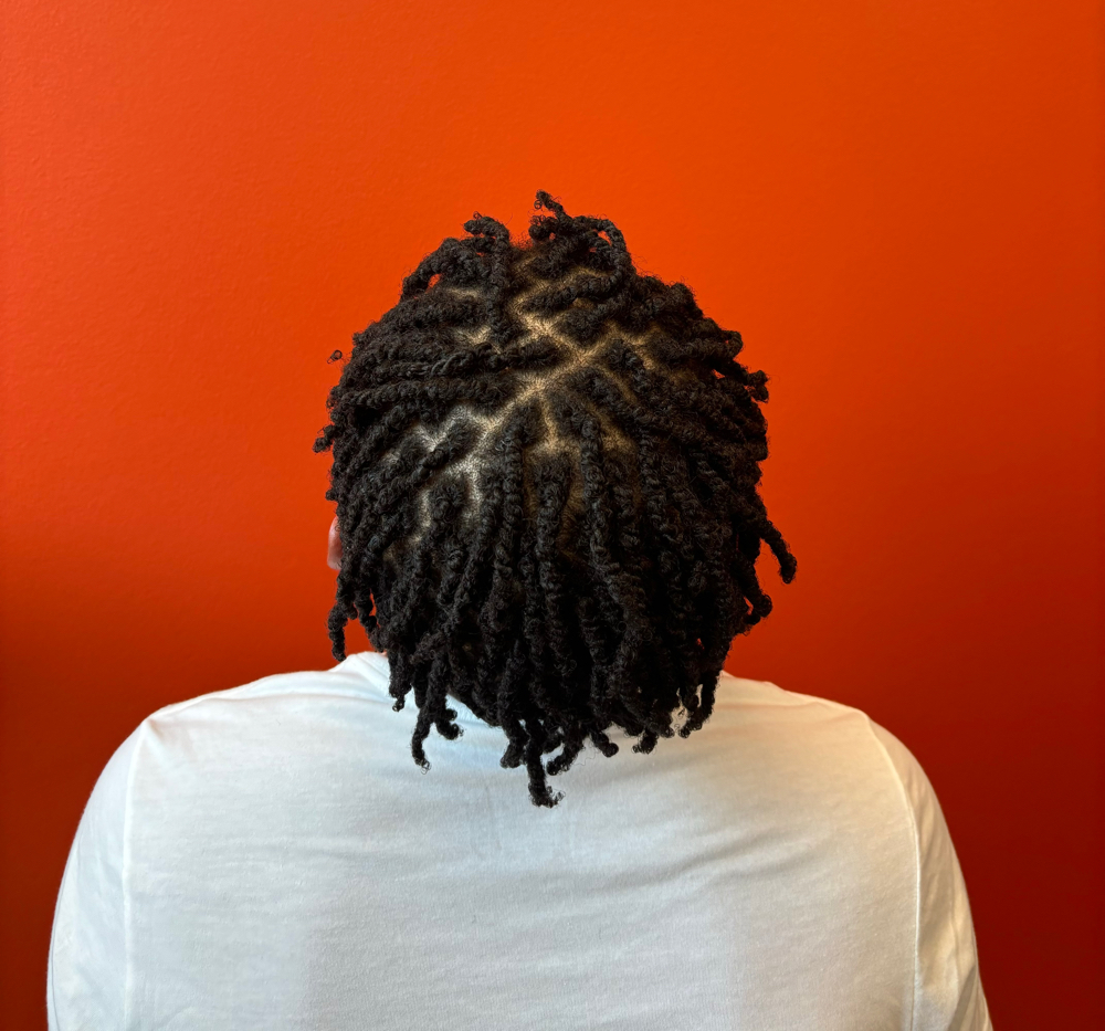 Starter Locs (Traditional) at ROOTED RADIANCE in Silver Spring, MD