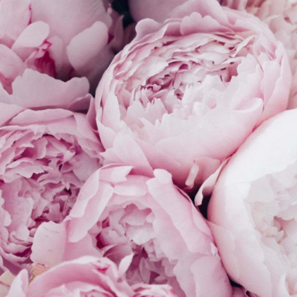 Brazilian|Underarm Combo at Pretty Girls Beauty Studio in Plantation, FL