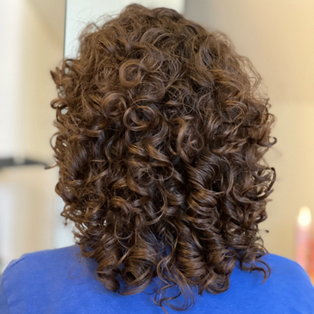Enhanced Curly Haircut at The Collective in Normal, IL