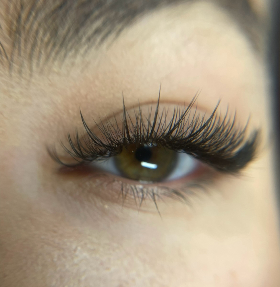 Wispy Hibridas