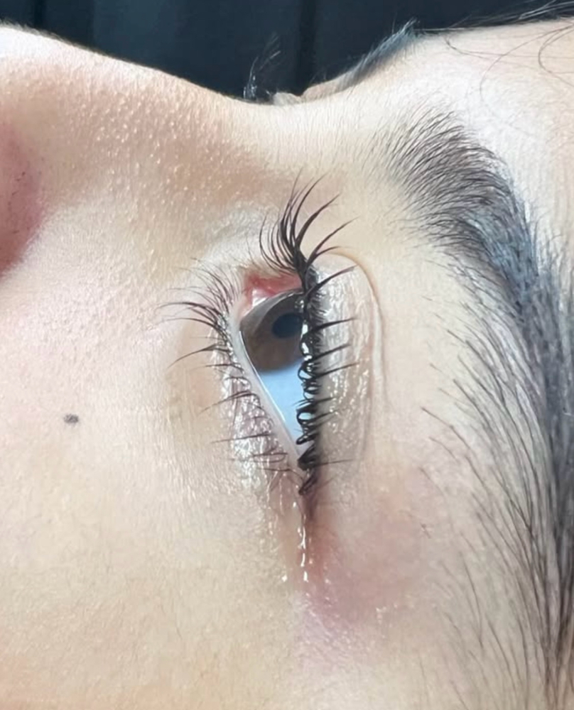 Lash lift $sale$ at Lash Out Studio in Wilsonville, OR