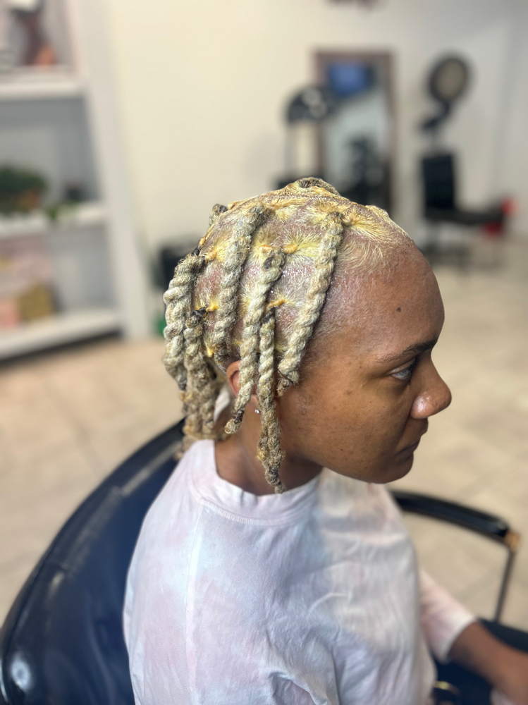 Full Head Of Color On Locs