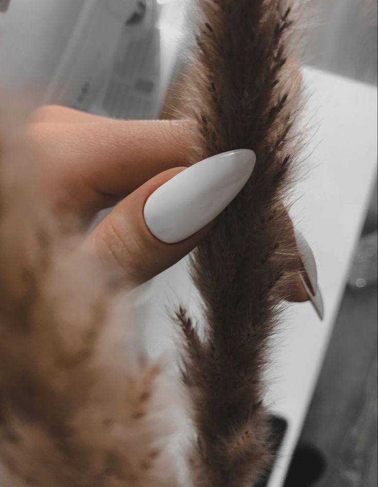 Gel Tips