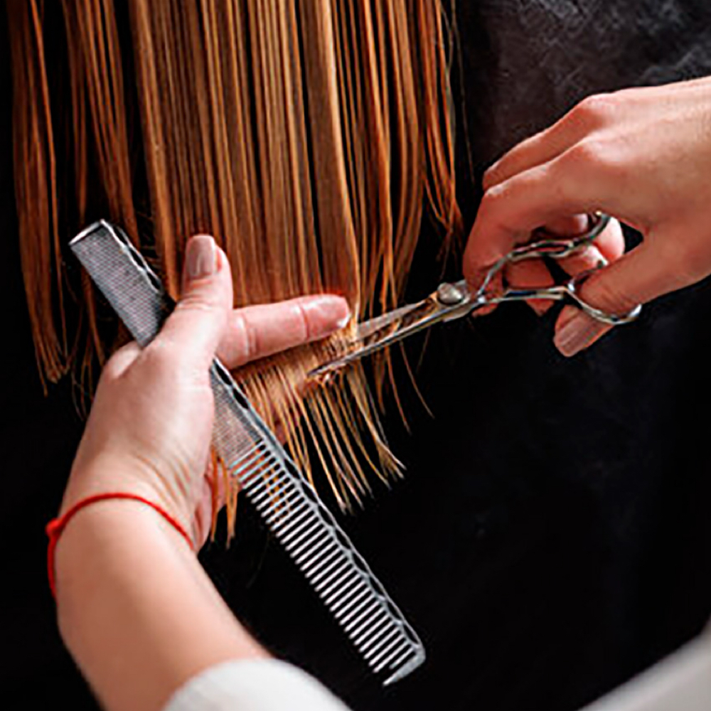 Haircut Services at Eleváre by Gina O. | Hair + Beauty in Salem, VA