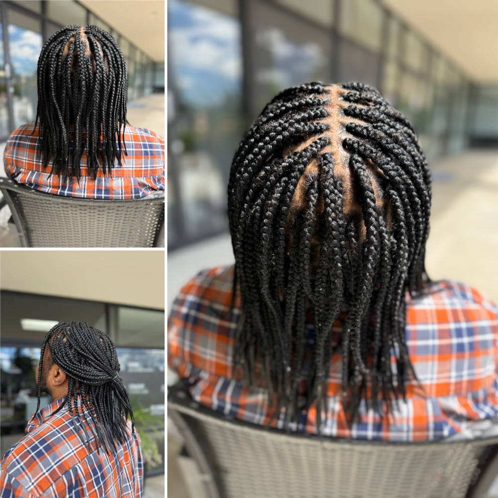 Men’s Single Braids