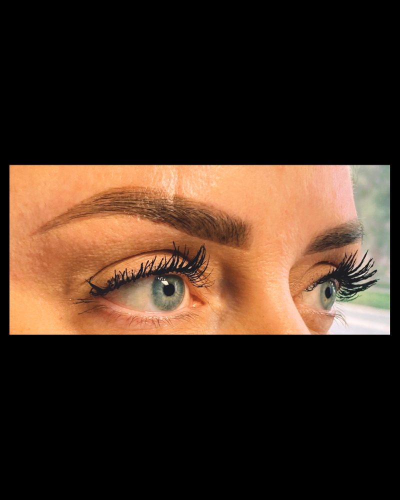 Brow Tinting Only🦇