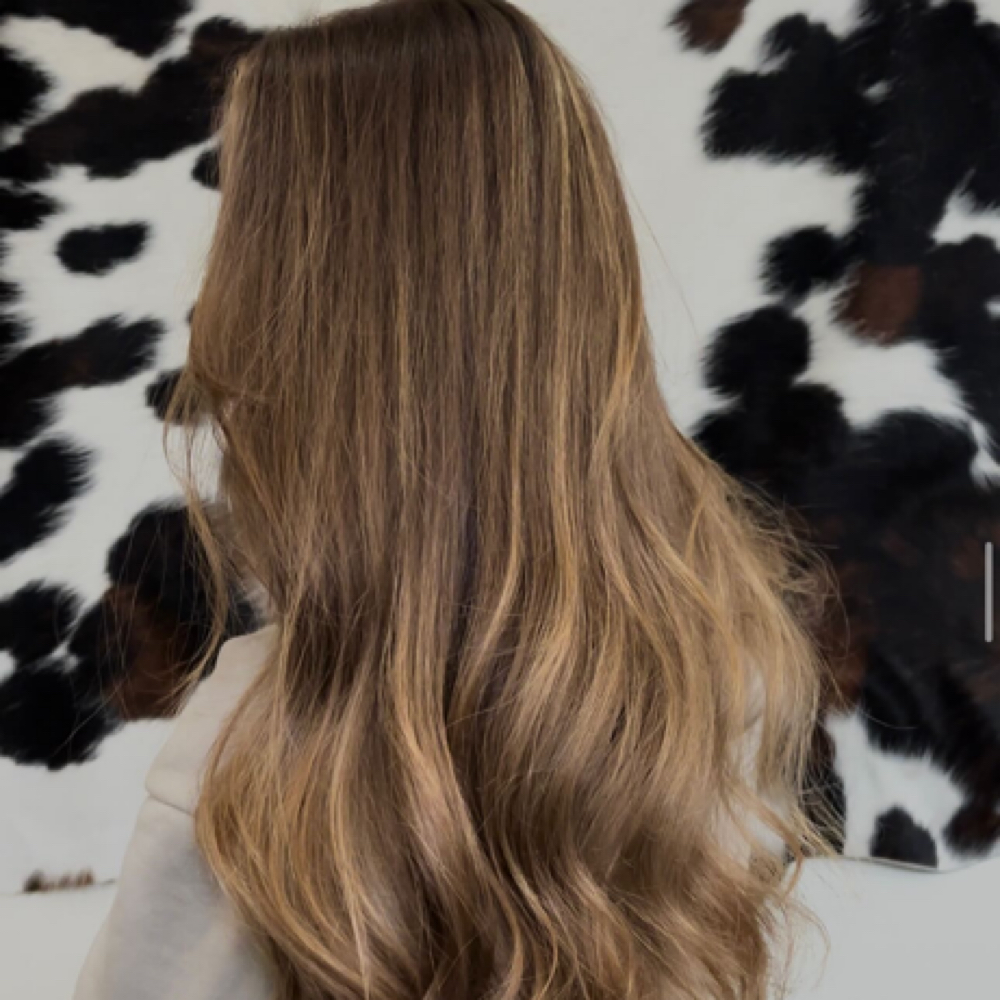 Balayage at hairby.ashleyrae_ in Ludington, MI