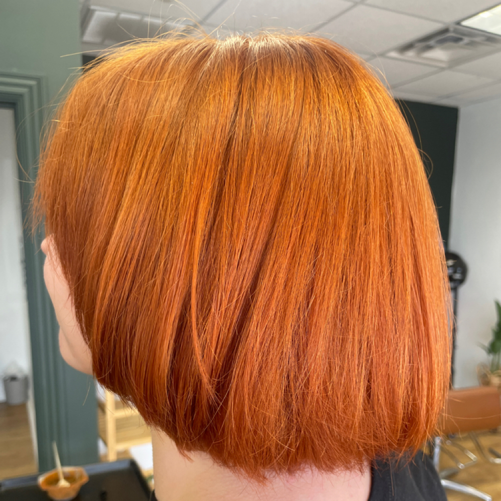 All Over Color With Cut By Holli at Steel Magnolias Hair Co. in Lebanon, TN