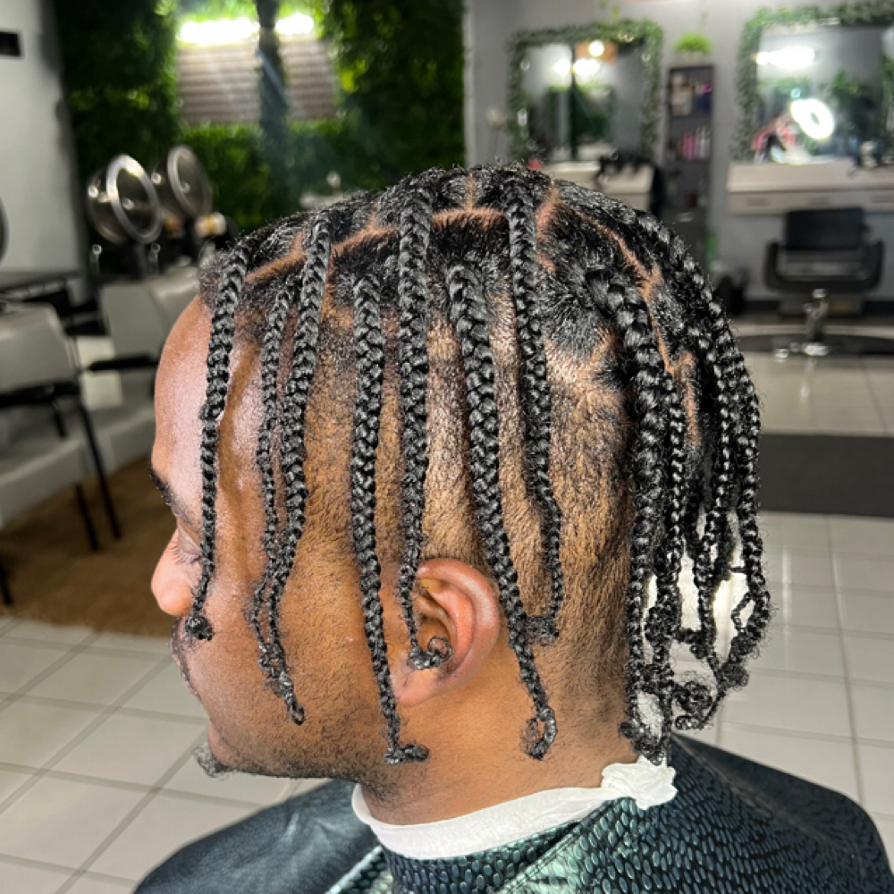 Coils | 2 Strand Twist | Plats at ToyaDee   TheStylist at Salon Forty-One in Cincinnati, OH