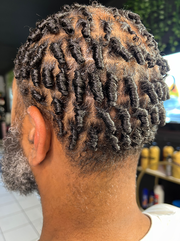 Coils | 2 Strand Twist | Plats