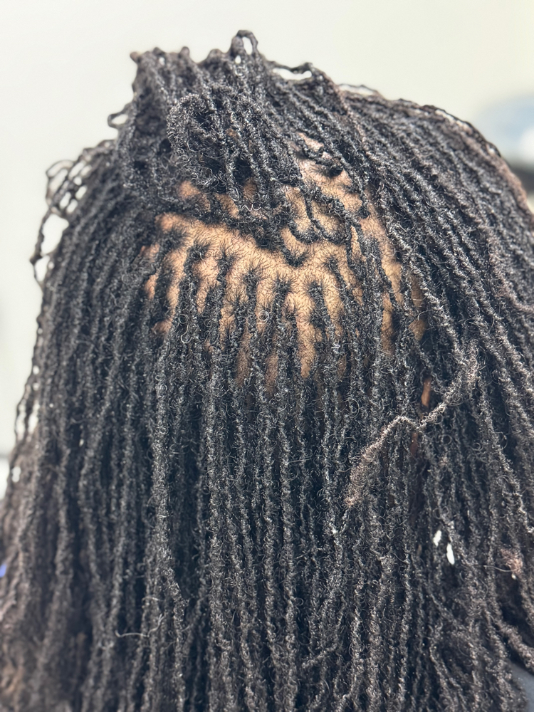 Sisterlocks Retie 6 weeks at Godiva Beauty,LLC in Lauderhill, FL