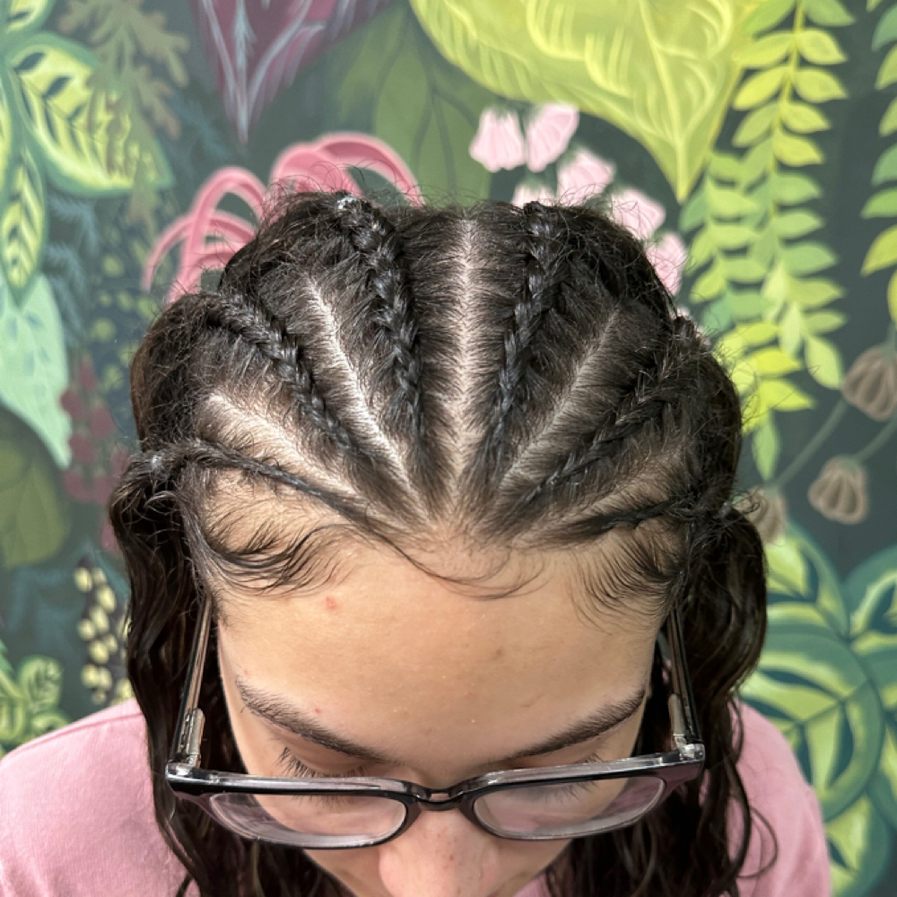 Braids at Syd Slays Hair in Sedalia, MO