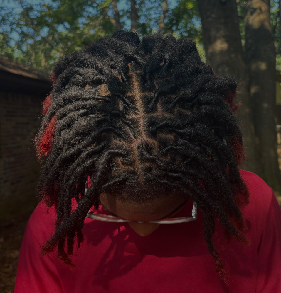 Starter Locs/Traditional Retwist