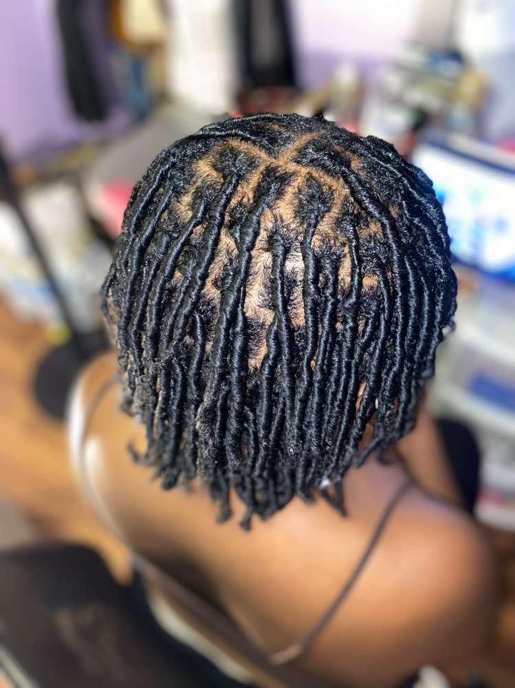 Starter Locs at Tamed by Tamika in Charleston, SC