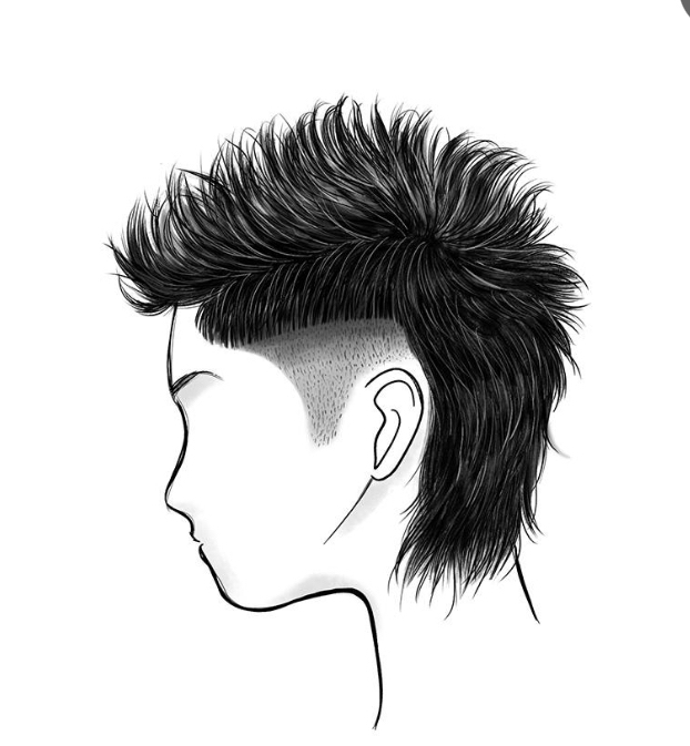 Mullet/Mohawk