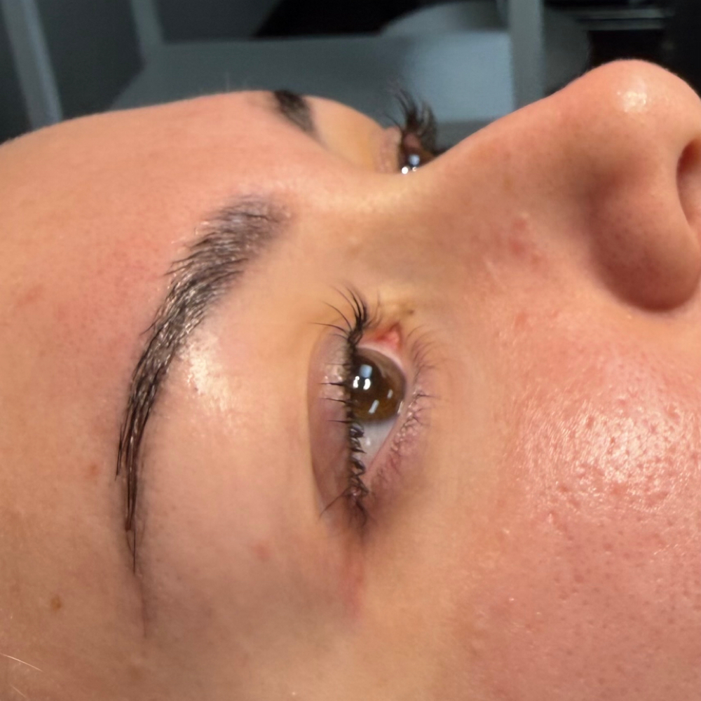 Brow Tint at Everglow Esthetics in Brevard, NC