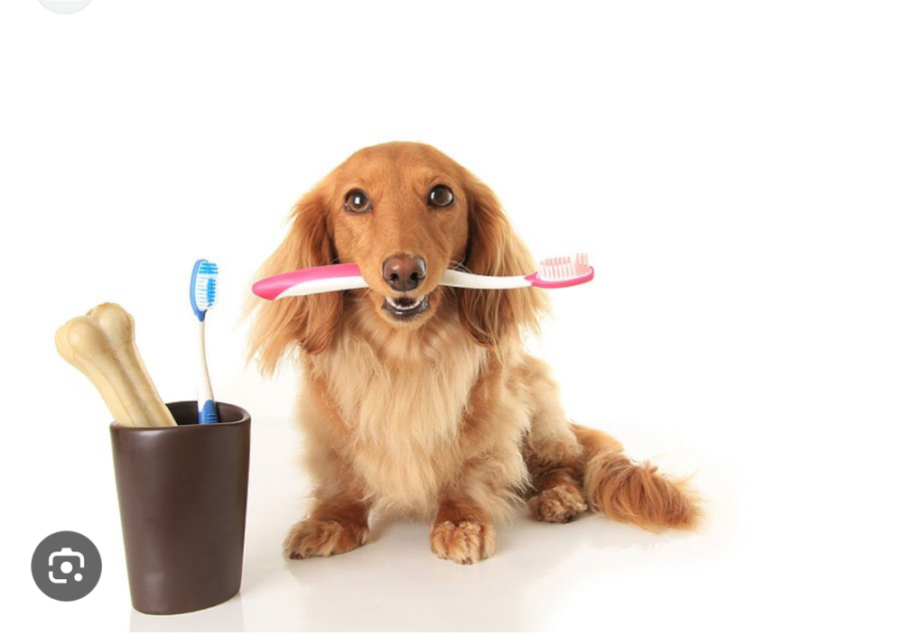 Teeth Brushing