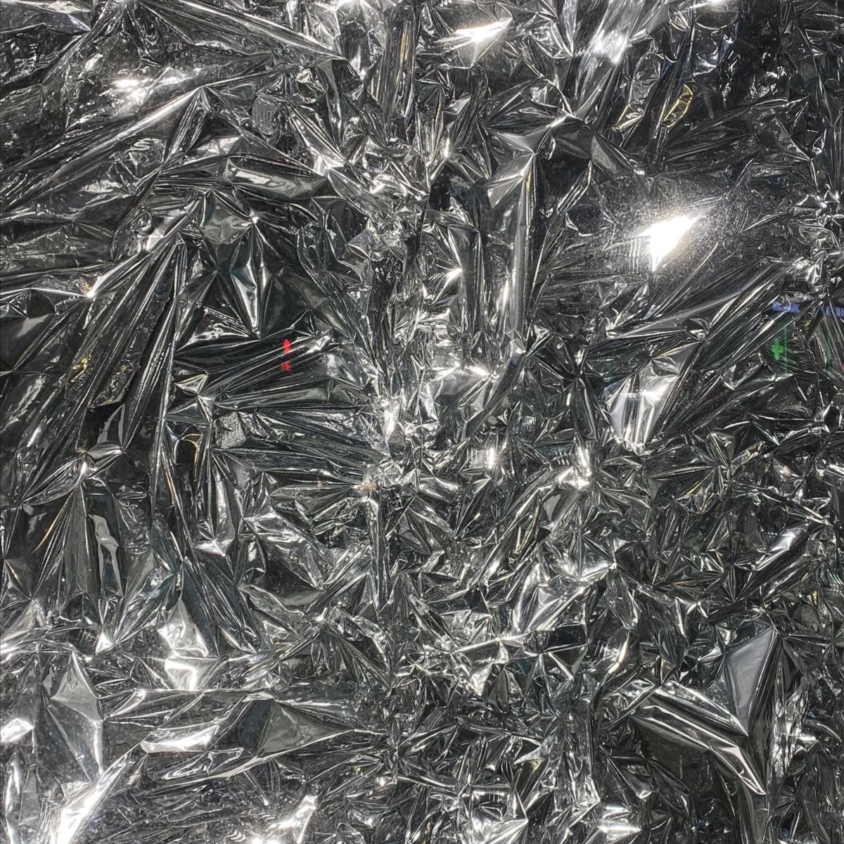 THE MINI at Book with Bria in Moline, IL