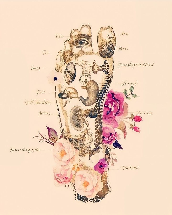 Reflexology Foot Massage