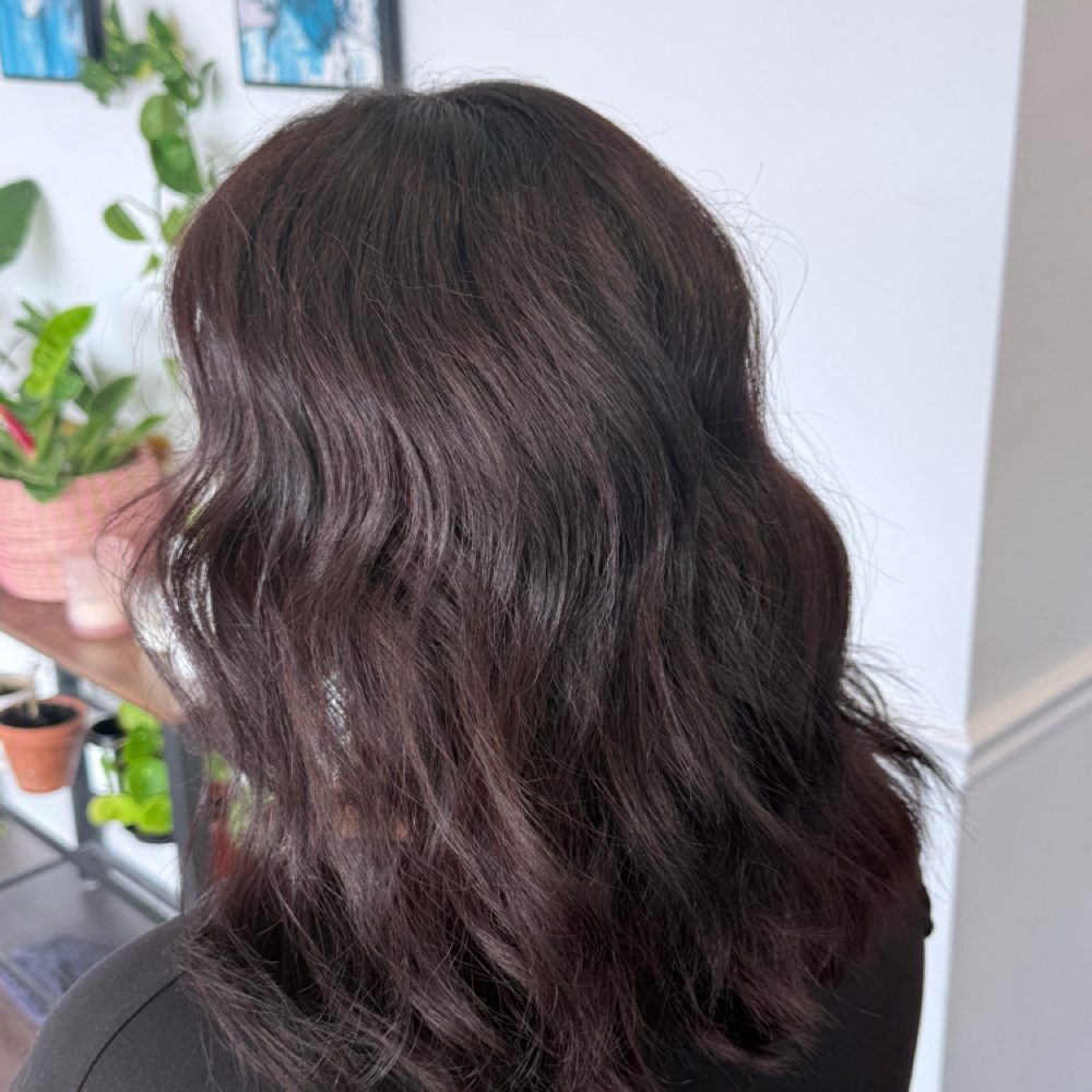 ALL OVER COLOR at Hair By Misty in Chatt, TN