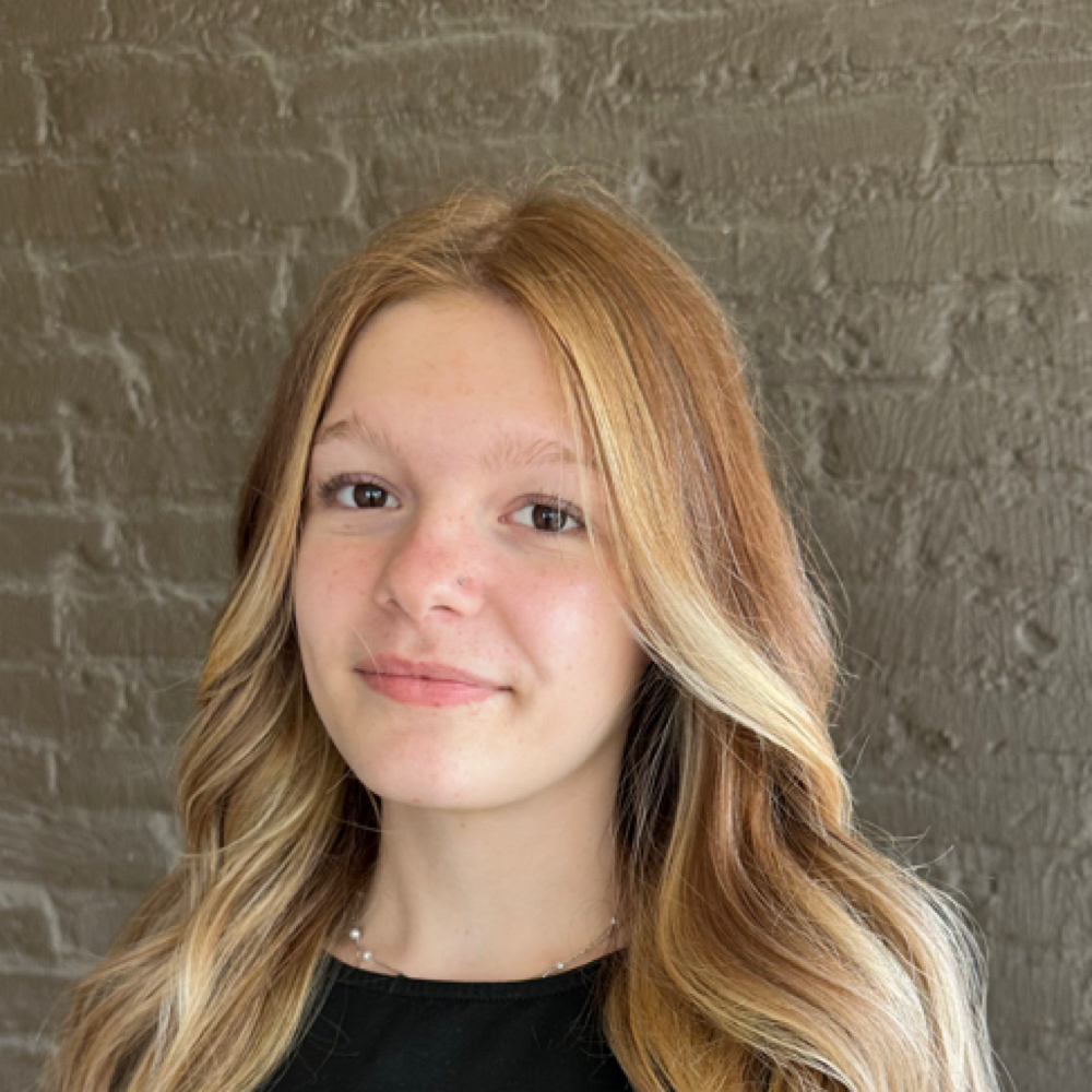 Face Frame Blonde Package at The Beauty Room By Ellyn in Troy, OH